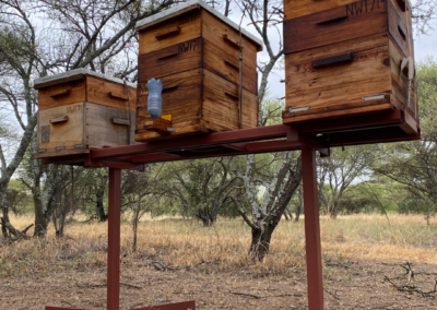 Bee hives