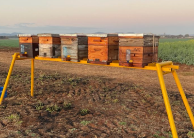 Bee hives
