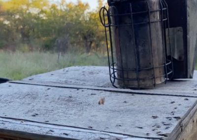 Sting Naturals Beekeeping Equipment