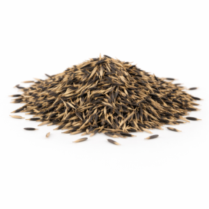 Marigold Seeds (10g)
