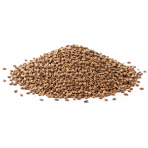 Phacelia Seeds (100g)