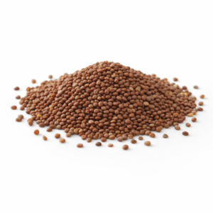 Japanese Radish Seeds (100g)