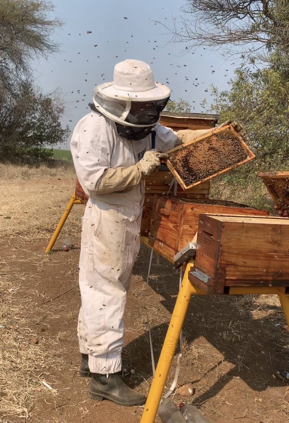 Beekeeping Equipment